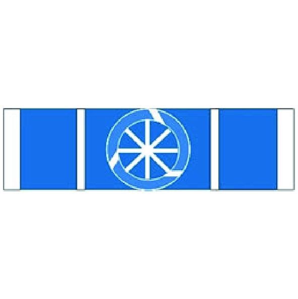 Barreta Ordem do Mérito Aeronáutico – Oficial